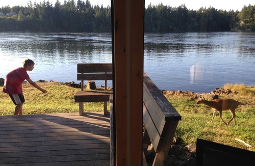 Shelton House | Hideaway at Cannery Point 'True Puget Sound Waterfront'