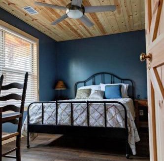Mammoth Spring House | Hideaway Cabin near Mammoth Springs, Ark