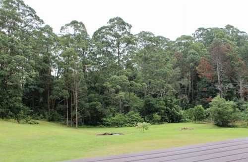 Mapleton Cabin | Hideaway Falls - Staggys Cottage