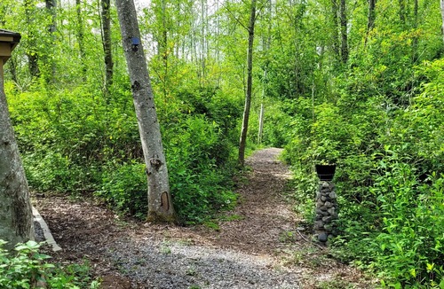 Bellingham House | Hideaway Glamping Yurt