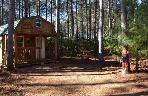 Lyndon Station Cabin | Hideout Retreat!