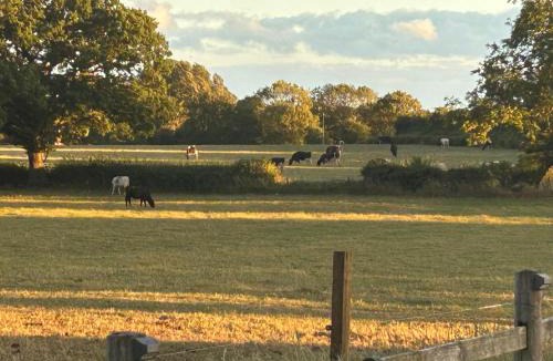 Pickhill House | High Oak Holiday Cottage