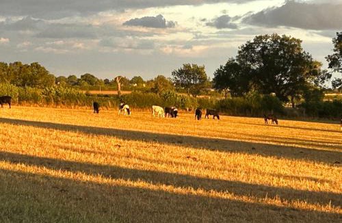 Pickhill House | High Oak Holiday Cottage