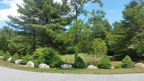 Bar Harbor Hotel | High Seas Motel