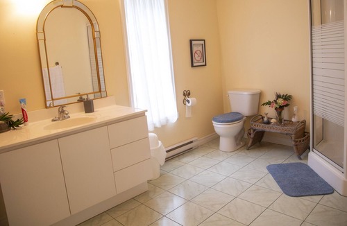 Val-des-Monts Ski Chalet | High speed internet cottage, lake, river, kayak, natural paradise!