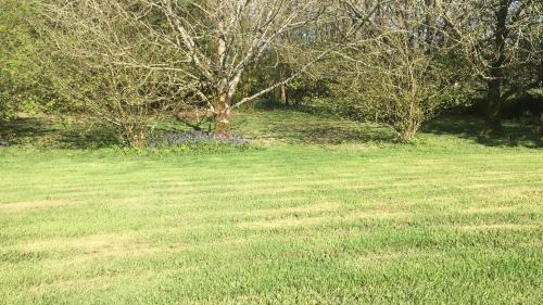 Mabe Other | Higher Trenear Farm Yurts