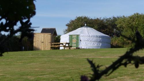 Mabe Other | Higher Trenear Farm Yurts