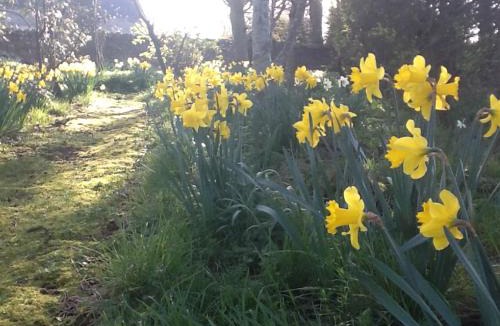 Kirknewton Cabin | Highfield Cottage