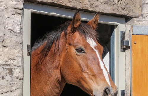 Blackwell in the Peak House | HIGHSTOOL VIEW, romantic, with a garden in Buxton