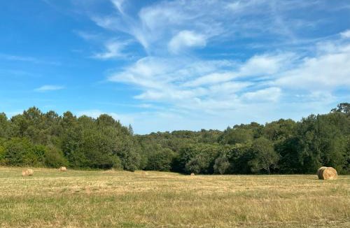 Saint-Marcory Bed & Breakfast | Hikari