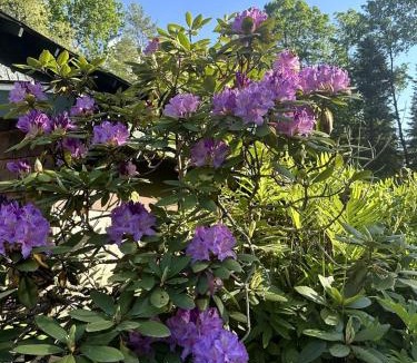 Lake Placid House | Hike & Ski Hideaway @ Lake Placid, NY