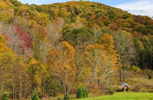 Todd House | Hike, Ski & More: Blue Ridge Mountain Escape