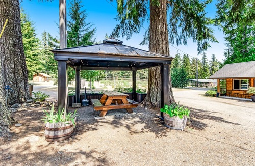 Quilcene Apartment | Hiker's studio with mountain views & fast WiFi - dog-friendly