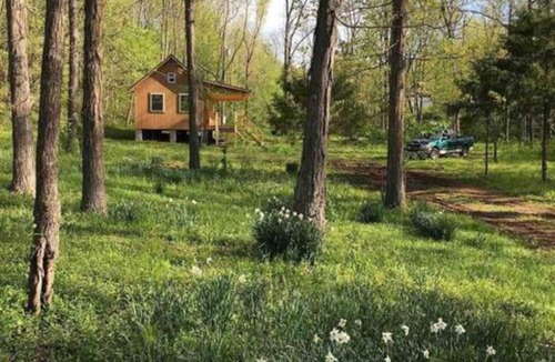 Pettigrew Cabin | Hiking, ATV riding, biking, rafting, cabin retreat!