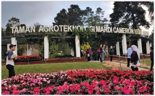 Tanah Rata Ski Chalet | Hillside cottage chalet studio