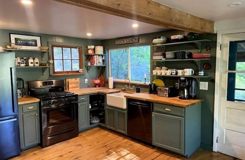 Downsville House | Hillside River Cabin, Kayak,Fish, Canoe