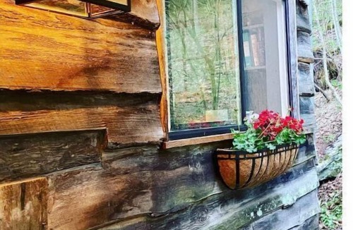 Downsville House | Hillside River Cabin, Kayak,Fish, Canoe