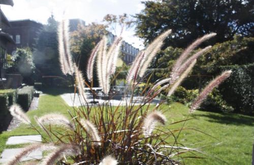 Newport Bed & Breakfast | Hilltop Inn