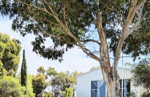 Alexandrina House | Hilltop Riverview Retreat