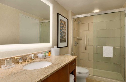 Near North Side Hotel | Hilton Chicago/Magnificent Mile Suites