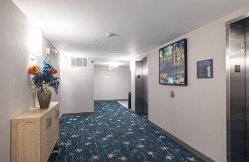 Albany Hotel | Hilton Garden Inn Albany