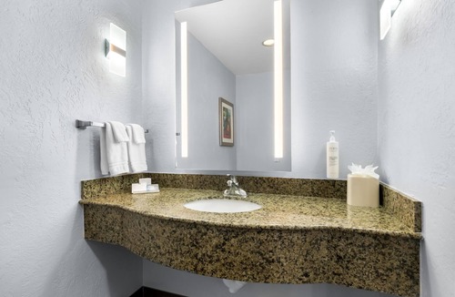 Soncy Hotel | Hilton Garden Inn Amarillo