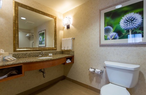 Cedar Falls Hotel | Hilton Garden Inn Cedar Falls