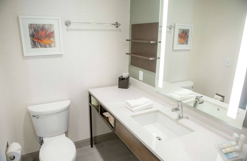 Gaffer District Hotel | Hilton Garden Inn Corning Downtown