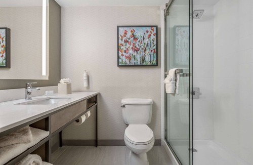 Allen Hotel | Hilton Garden Inn Dallas-Allen