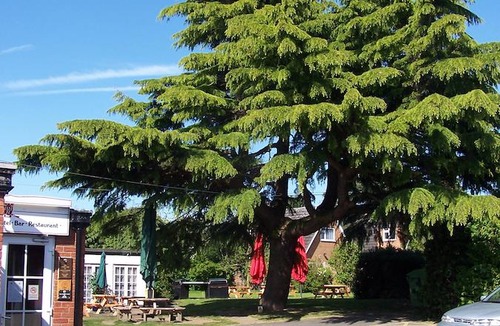 Hilton Hotel | Hilton House