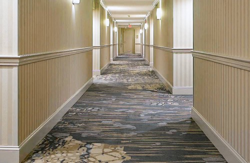Raleigh Hotel | Hilton Raleigh North Hills