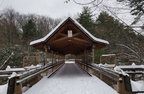 Scranton House | Hilton Scranton