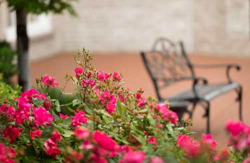 Frontenac Hotel | Hilton St. Louis Frontenac