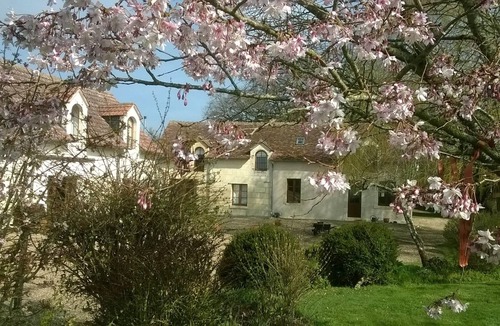 Le-Petit-Pressigny Cottage | Hirondelle - Charming Cottage for 5