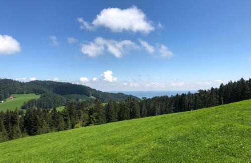 Wald Hotel | Hirschen Wald - Gasthaus & Bäckerei