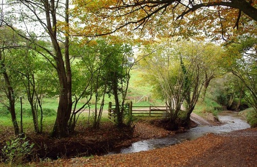 Colyton Cottage | Hiscox Cottage