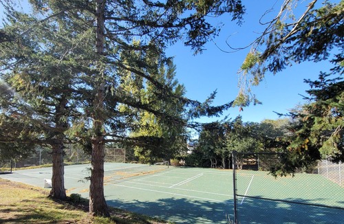 Oak Harbor Cottage | Historic (1860) Whidbey Island Home/Farm, Tennis Court, Mtn Biking, and Beach.
