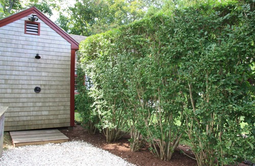 Nantucket Town Cottage | Historic 2 bedroom cottage in the heart of old town Nantucket