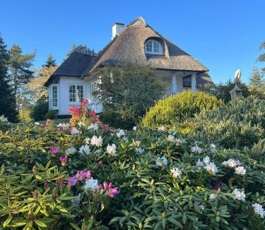 Bøtø By House | Historic Beach Villa With Pool At Marielyst
