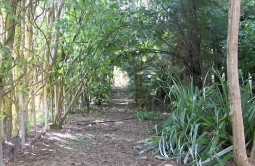 Otaki Cottage | Historic brick stables