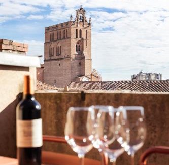 Toulouse City-Centre Apartment | Historic center, 74 m2, terrace, rooftop views