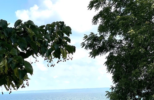 Burlington Cottage | Historic & Charming Lakefront Gem in Burlington