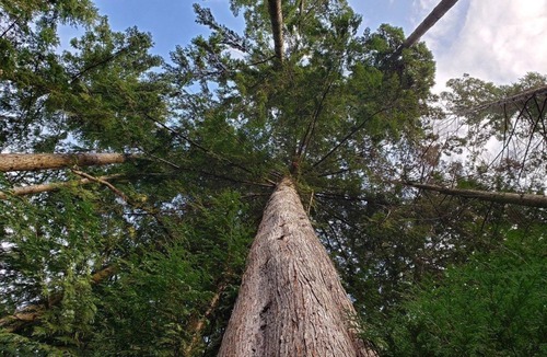 Baker City House | Historic Downtown Mansion has it all!