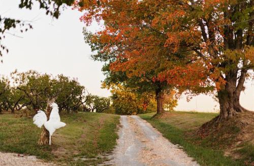 Alto Pass House | Historic Farm Cottage on 800-Acre Orchard