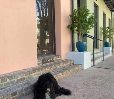 Lower Garden District Apartment | Historic Garden District 5BR with Parking and Balcony