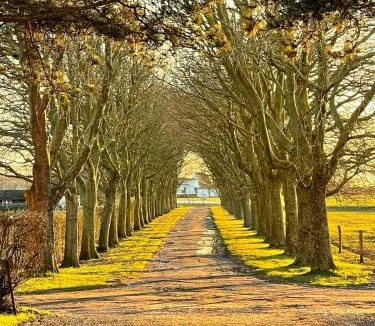 Lolland Municipality House | Historic Gatehouse At Søllestedgaard Manor