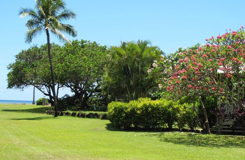 Waimea House | Historic Oceanfront Plantation Home