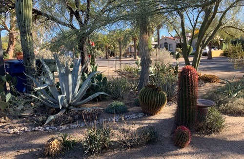 Sam Hughes House | Historic Sam Hughes Charmer. Private yard w fruit trees. Walk to UA.