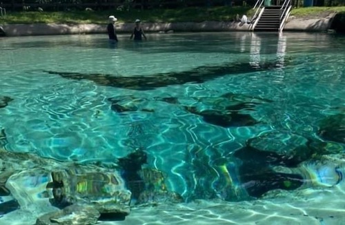 High Springs House | Historic Victorian Oasis Downtown High Springs