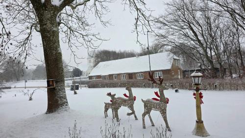 Tim House | Historical Bullfinch Cottage - Amazing Day Trips!